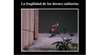Nace “Fluir Editorial” con un libro de Felipe Hourcade