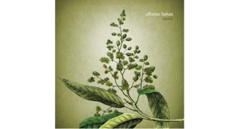 “Savia” de Alfonso Bekes