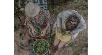 “El alimento: perspectiva decolonial y ambiental”