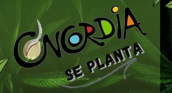 “Concordia se planta”