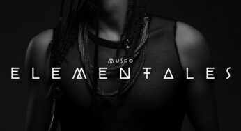 “Elementales” de “Musgo”