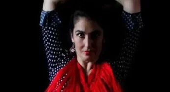 Clases intensivas de flamenco