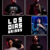 los días grises