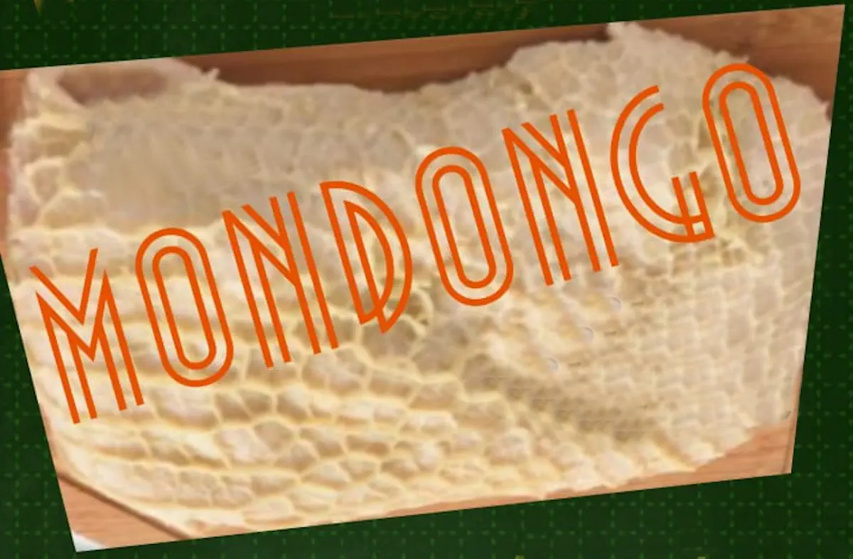 Mondongo