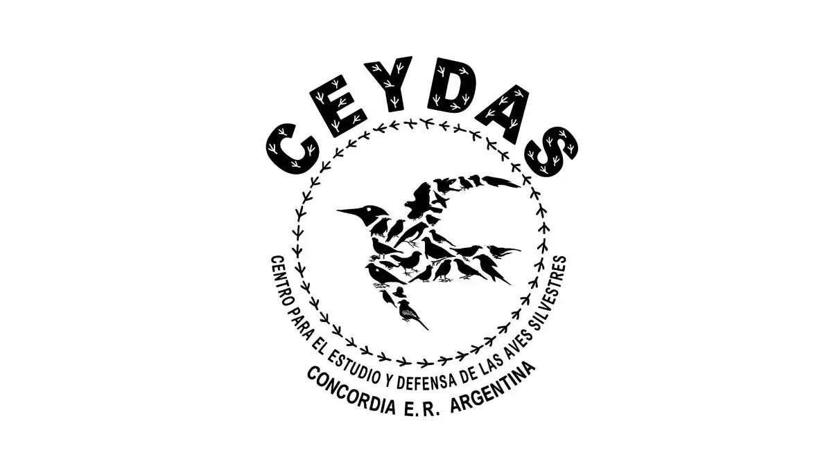 “Miradas a las aves nativas que habitan Concordia”
