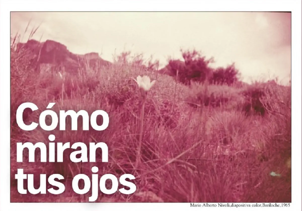 “Cómo miran tus ojos”